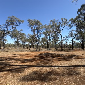 Moonstone Hill Campsite