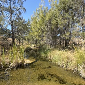 Hospital Creek