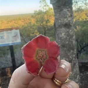 Kalkani Crater Rim Walk & CarPark