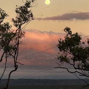 4WD Camp