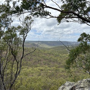 Canyon Lookout