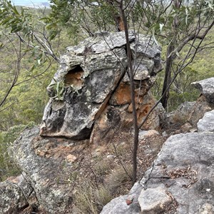 Canyon Lookout