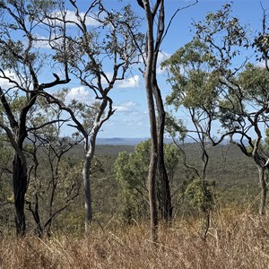 Ridge View