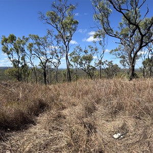 Ridge View