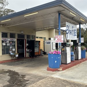 Central Servo