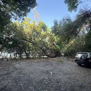 Graham Range Camping Area