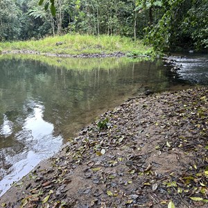 Bush Pool