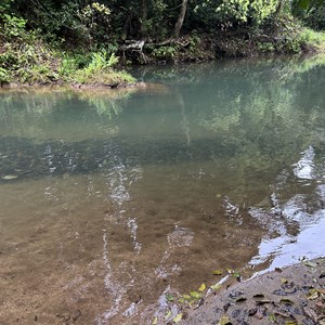 Bush Pool