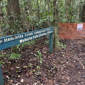 Goolagan Creek Picnic Area