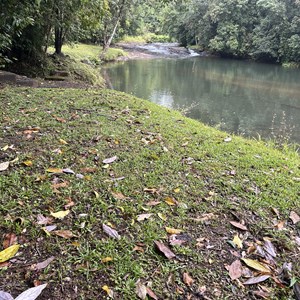 Goolagan Creek Picnic Area