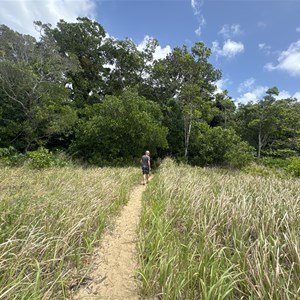 Ella Bay Day Use Area