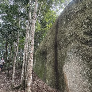 Platypus Rock Lookout