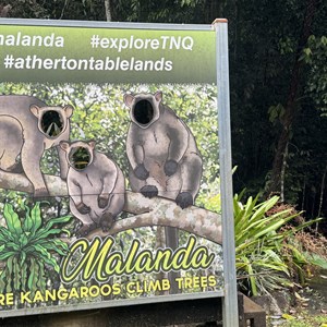 Malanda Falls Visitor Centre