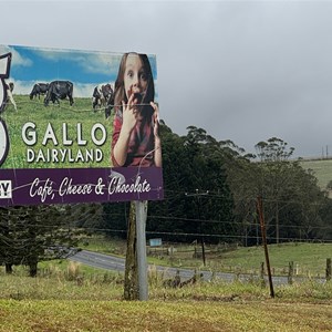 Gallo Dairyland