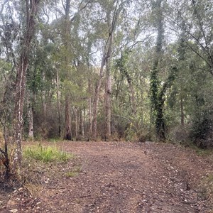 McKenzie Falls Trailhead