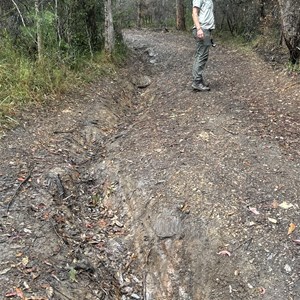 McKenzie Falls Trailhead