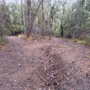 McKenzie Falls Trailhead