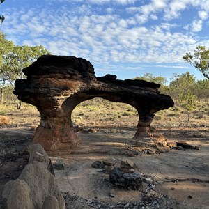 Lizard rock