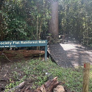 Society Flat Rainforest Walk