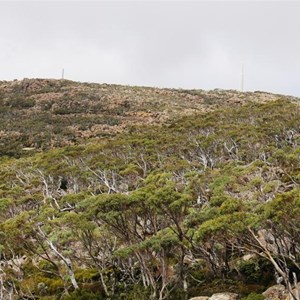 The summit of Mount Wellington from an observation point just short of the summit 