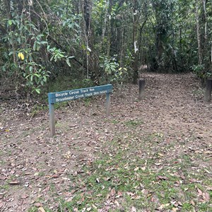 Broadwater Creek Track