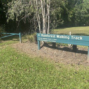 Rainforest Walking Track