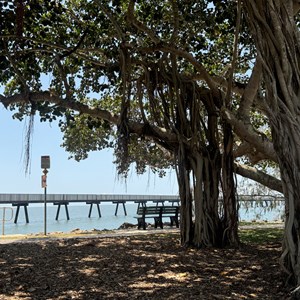 Lucinda Jetty & Cafe