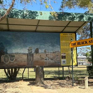 The Black Stump