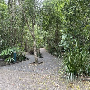 Platypus Viewing Day Use Area