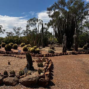 Bevans Cactus Nursery