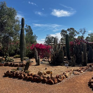 Bevans Cactus Nursery