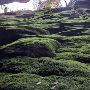 Warrumbah Creek Gorge