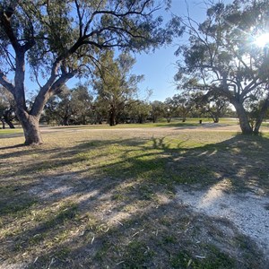 Collarenebri Free Camp