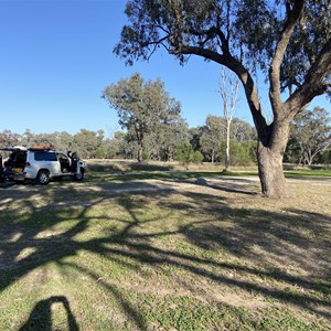 Collarenebri Free Camp