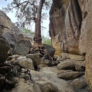 Canns Camp Creek Canyon