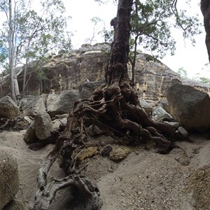 Canns Camp Creek Canyon