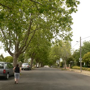 Main Street residential streetscape.