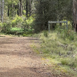 Panhandle Fire Trail