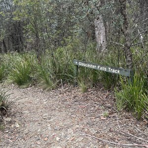 Gloucester Falls track