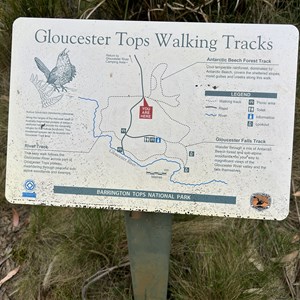 River Walk & Antarctic Beech Forest Track