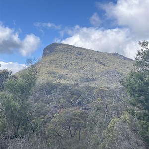 Mount Rosea