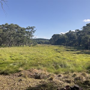 Micalong Swamp