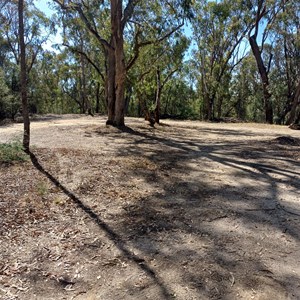 O'Donohughs campsite