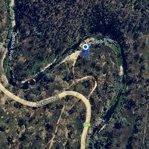 Camp on Deddick River
