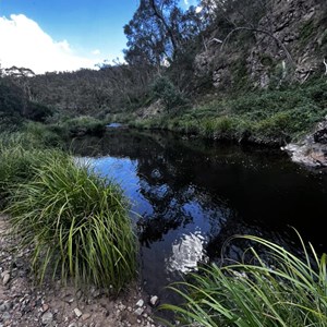 Camp on Deddick River