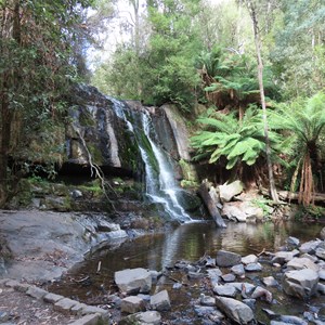 The falls -  March 2026