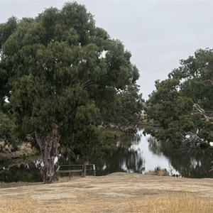 Leigh Barwon River Junction