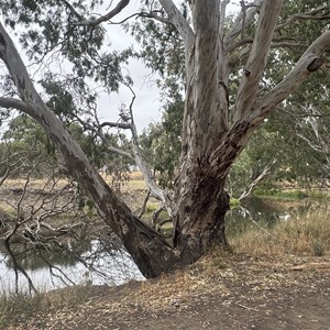 Access to river bush camps