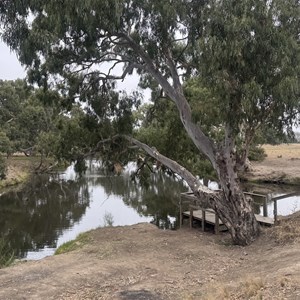 Access to river bush camps