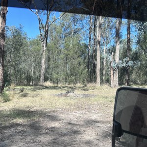 Flat and open campsite by the track